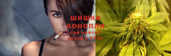spice Ельня