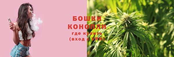 spice Ельня