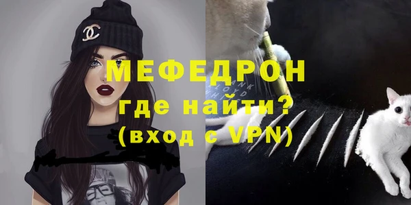spice Ельня